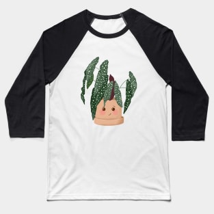 Cute Plant Illustration, Begonia Maculata Baseball T-Shirt